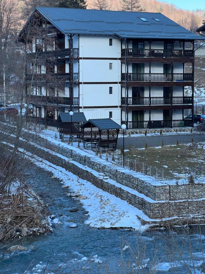 Apartment Dream Mountain 9 Busteni
