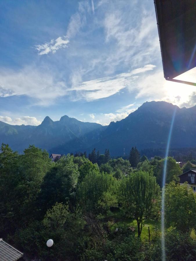 Dream Mountain 9
