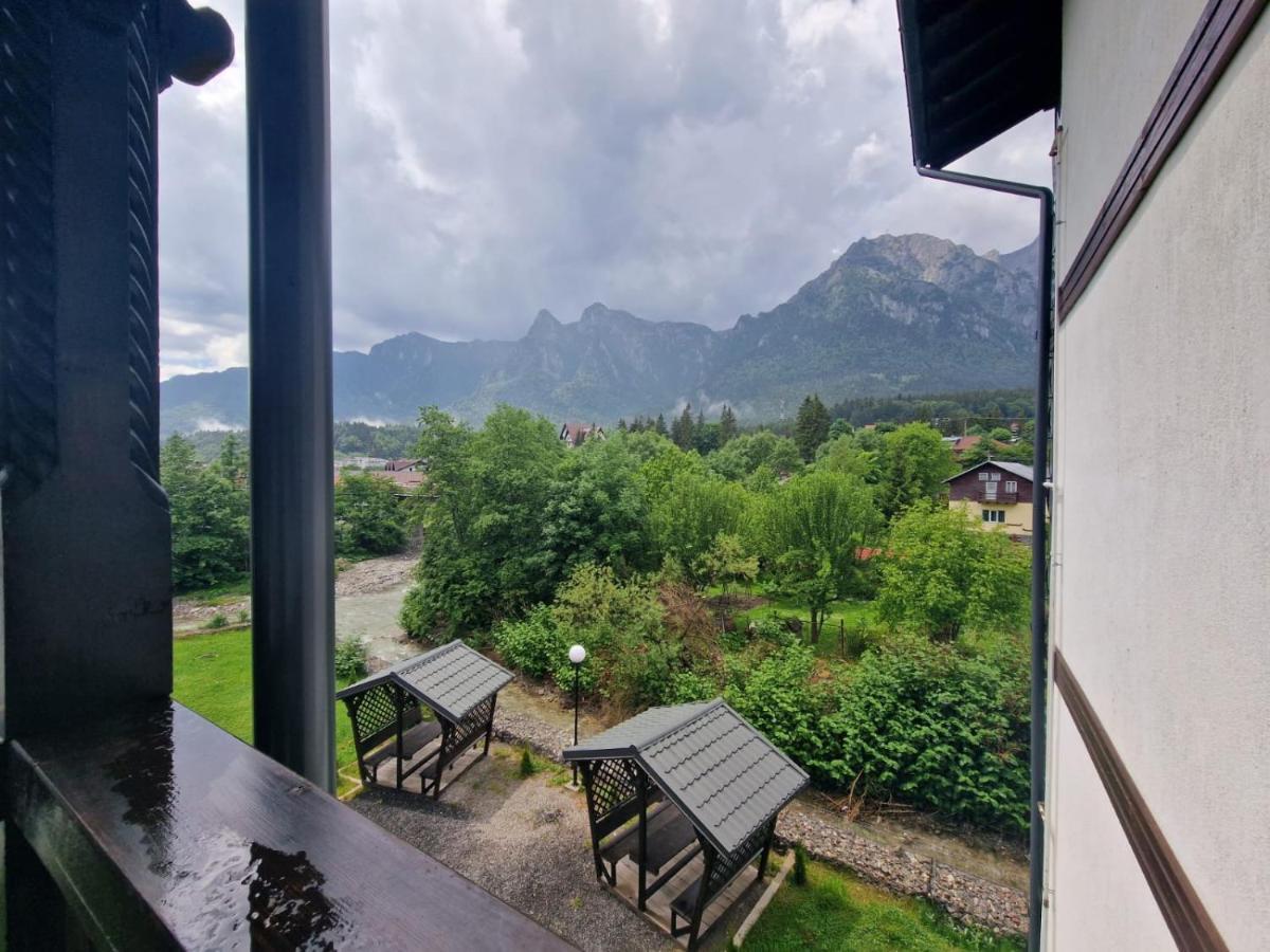 Dream Mountain 9 * Buşteni