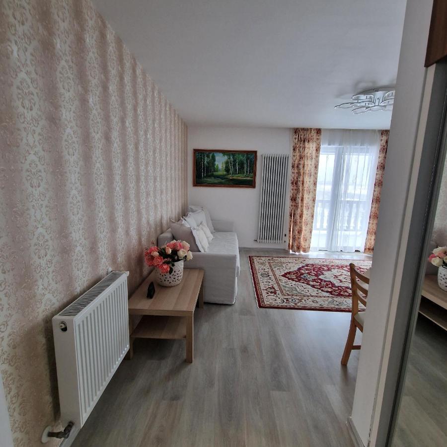 Apartment Dream Mountain 9 Busteni
